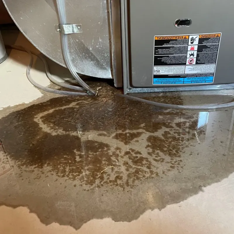 Pipe Burst and Leak Restoration in Somervell County, TX