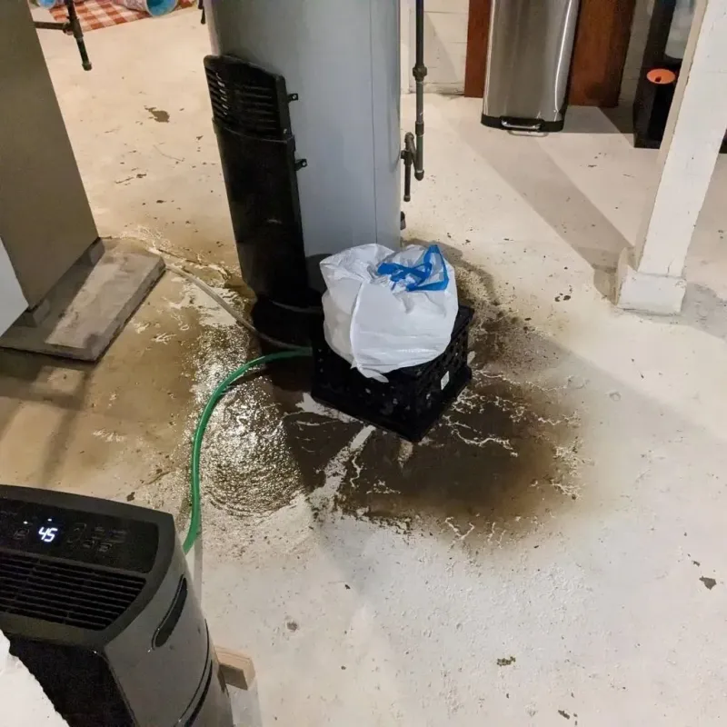 Sewage Backup Cleanup Service in Somervell County, TX